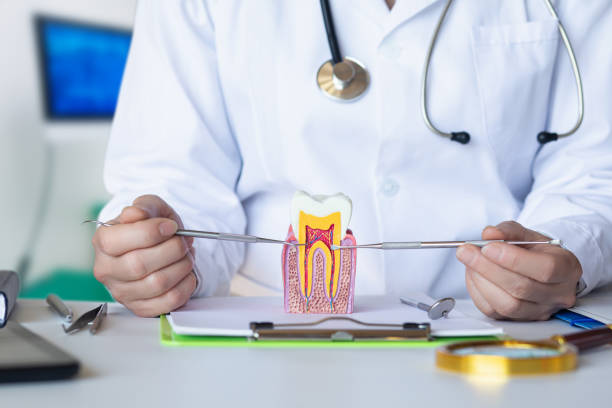 Best Tooth Pain Emergency Relief  in Reedurban, OH